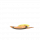 ef098aee943e8649729b801e53f6dc3e_1660093489_2592.png