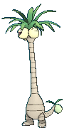 c7bf5e4cf50bdecc70f15bd2ae873abb_1684550837_2939.gif