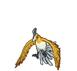 141e82ff00a1ad772f51eb7972e50e16_1716955412_5631.gif