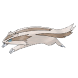 141e82ff00a1ad772f51eb7972e50e16_1716974213_7961.png