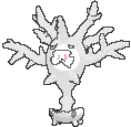 21920c1d114a237fbdec51908bd59d40_1732075491_4052.gif
