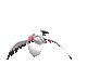 f6df89296babca5932b63318a19c0591_1746698012_1887.gif