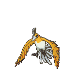 4db1c274ab977217f8f71b4ed5e0cbc6_1782976795_5236.gif